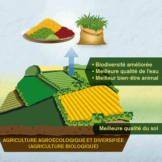 Illustration de la communication