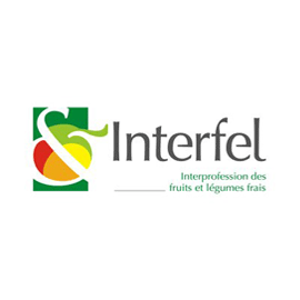 Logo Interfel